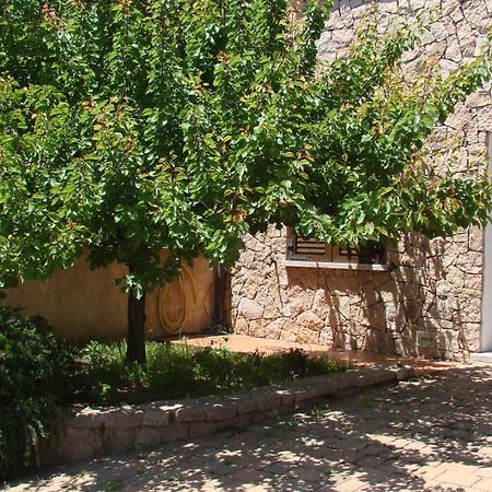 Bella Casa Con Giardino A 10 Minuti Dal Mare Apartment Aglientu Ngoại thất bức ảnh
